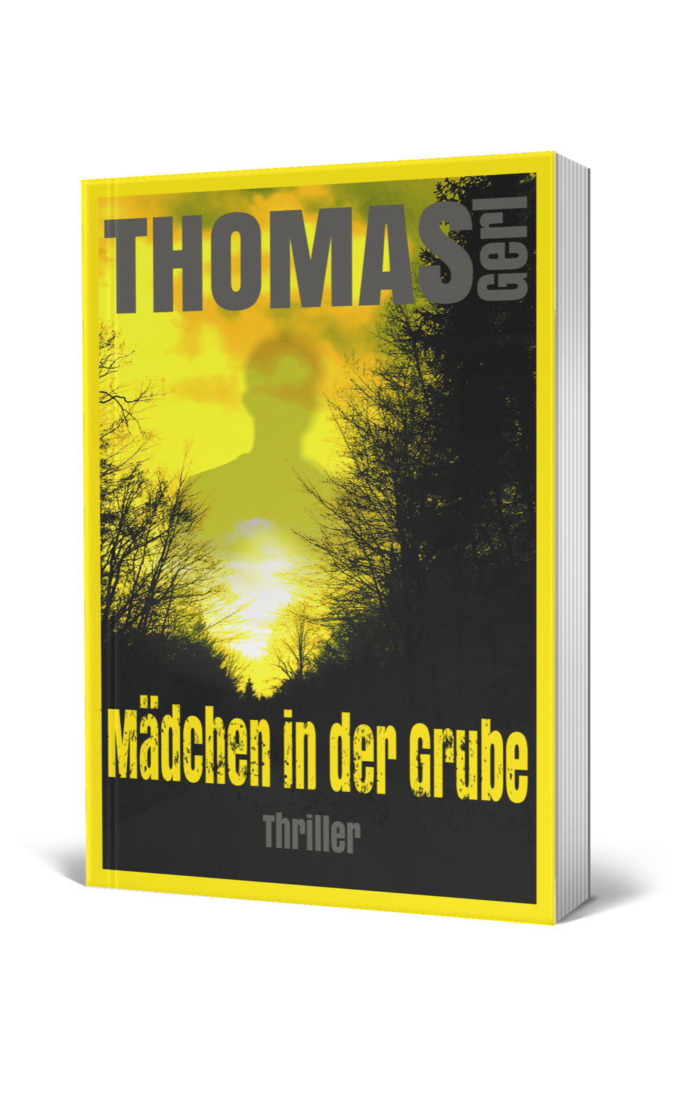 Buchcover „Mädchen in der Grube“